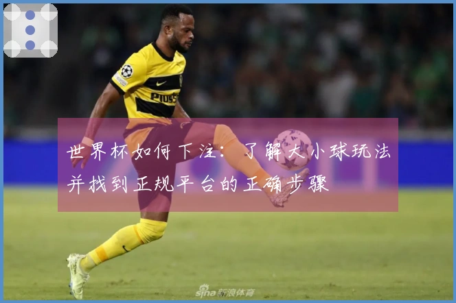 世界杯如何下注：了解大小球玩法并找到正规平台的正确步骤