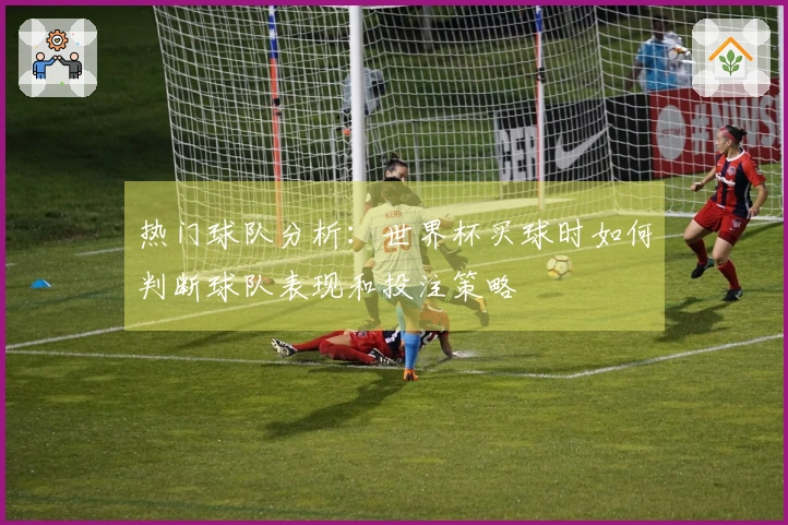热门球队分析：世界杯买球时如何判断球队表现和投注策略