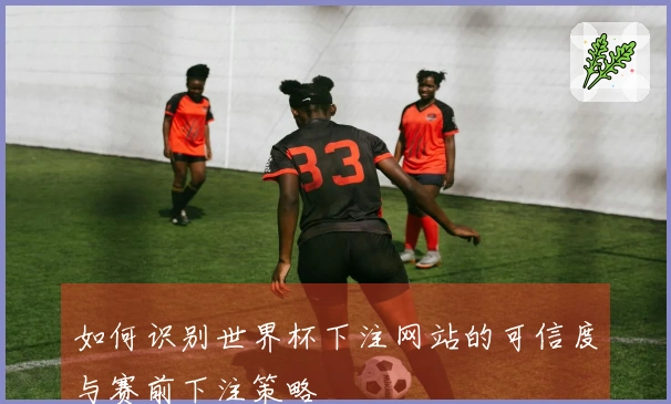 如何识别世界杯下注网站的可信度与赛前下注策略