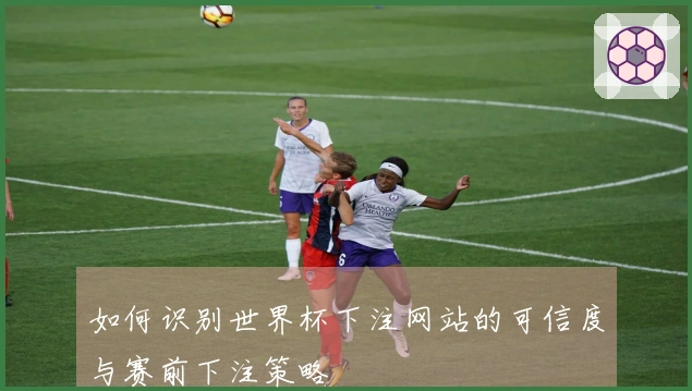 如何识别世界杯下注网站的可信度与赛前下注策略