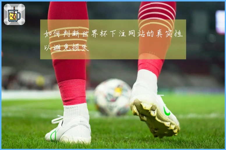 如何判断世界杯下注网站的真实性以避免损失